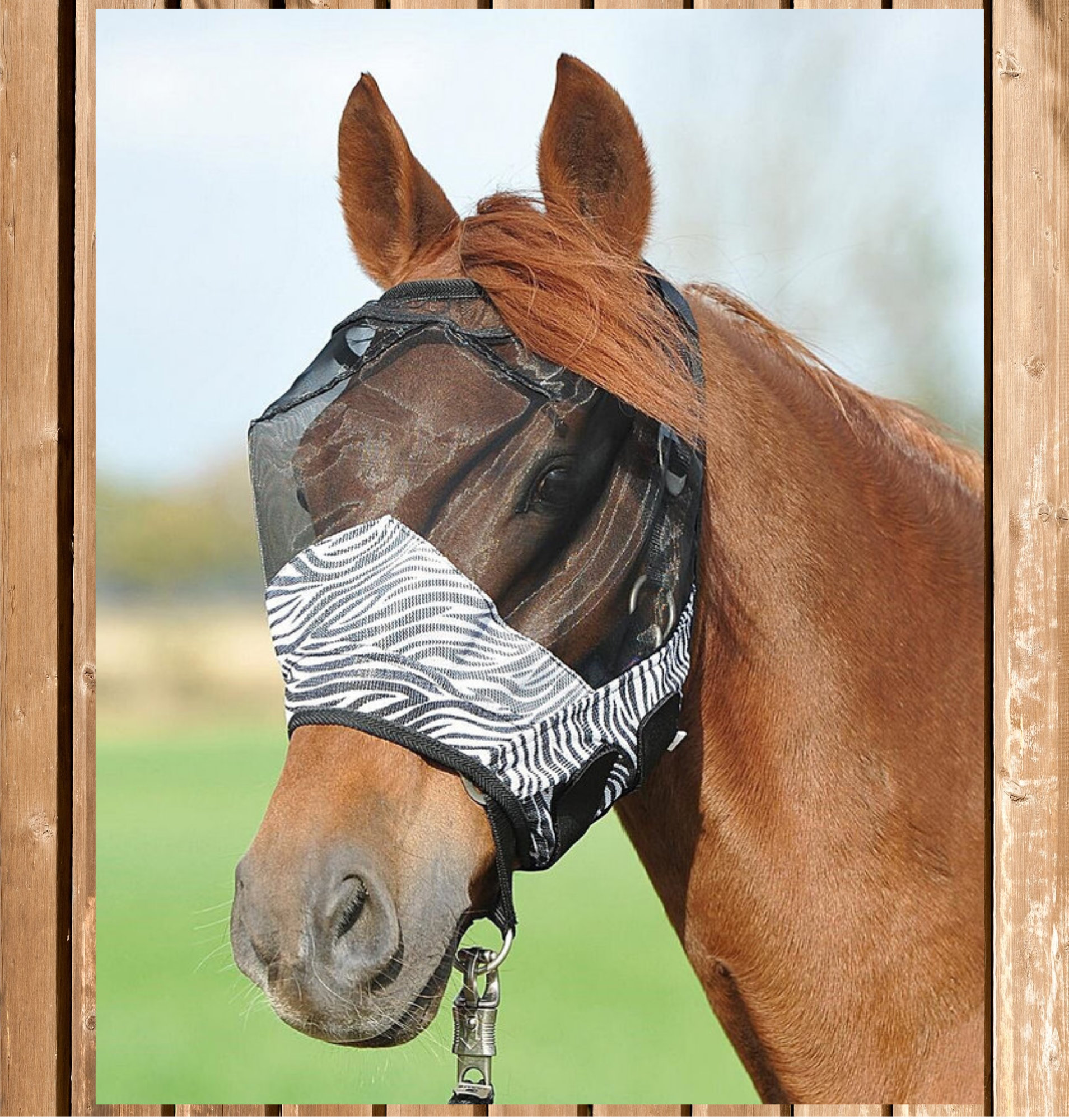 Busse Fliegenmaske Fly Guard Zebra